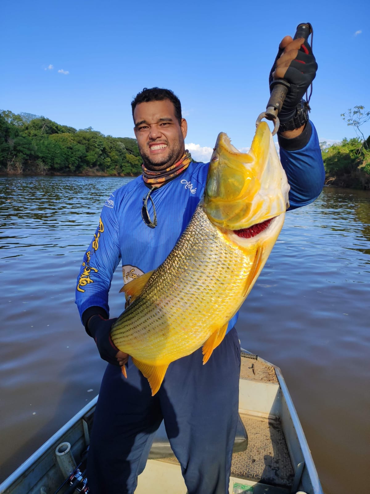 Dourado adulto capturado em trecho íntegro — indicador biológico de rio vivo